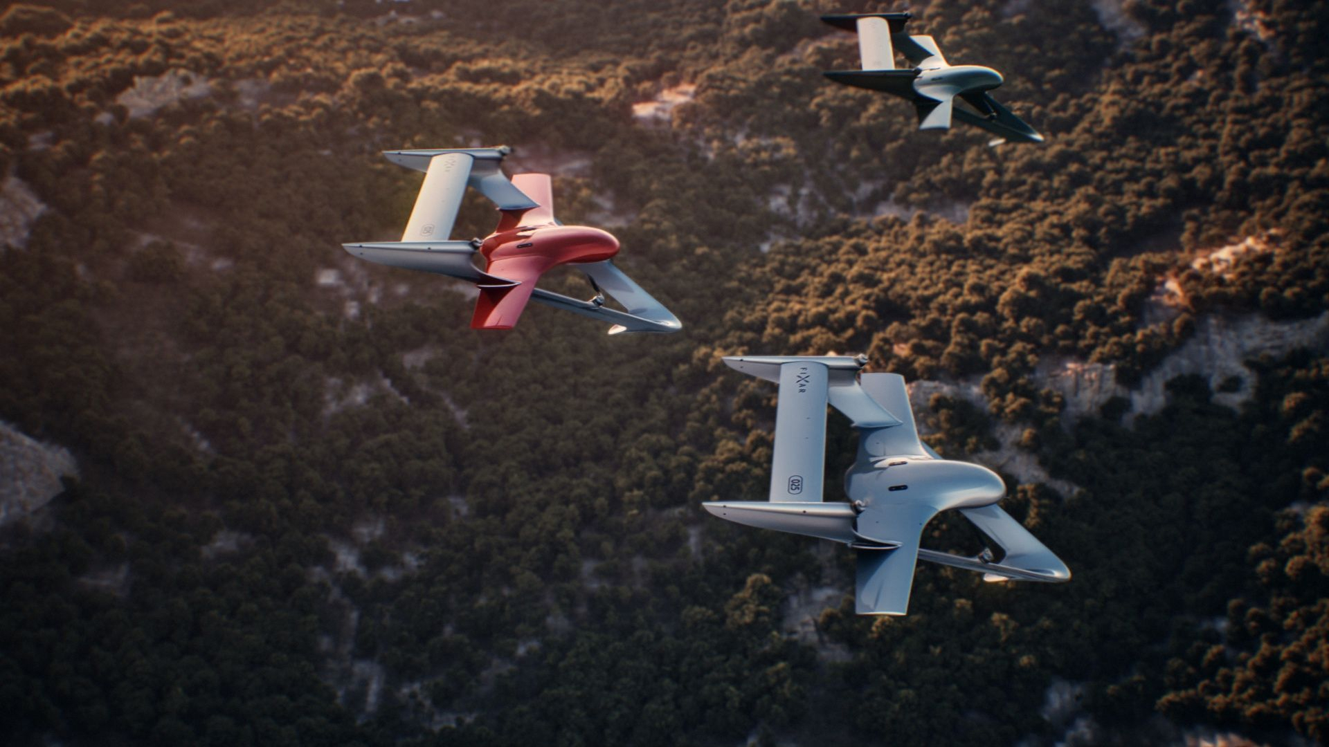 Aerial Survey